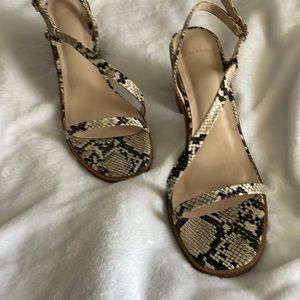 Wide heel snakeskin heels